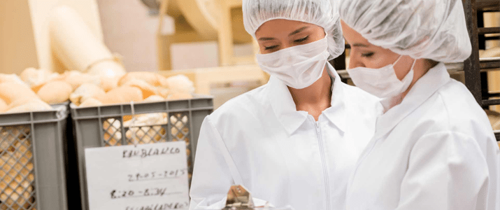 food safety auditor