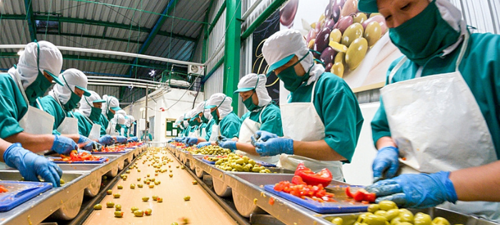 food safety culture